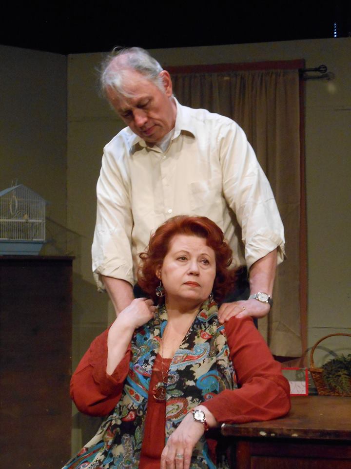 16641035_1401471836551019_7841887339052675541_n